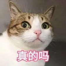 居家令有用了?安省日增骤减至1913例!高兴早了,统计不全而已! 居家令有用了?安省日增骤减至1913例!高兴早了,统计不全而已!