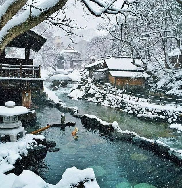 后悔知道得太晚!疫情后花式过冬,多伦多这些好去处不要错过! 后悔知道得太晚!疫情后花式过冬,多伦多这些好去处不要错过!