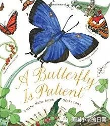 当思维导图遇上绘本精读，这秘密竟让我挖到！