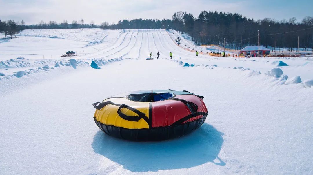 后悔知道得太晚!疫情后花式过冬,多伦多这些好去处不要错过! 后悔知道得太晚!疫情后花式过冬,多伦多这些好去处不要错过!