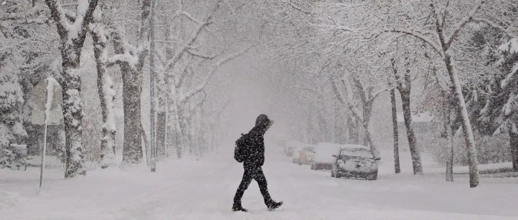操心你的菜篮子：入侵物种！加拿大再也不能卖新鲜的铁棍山药了！