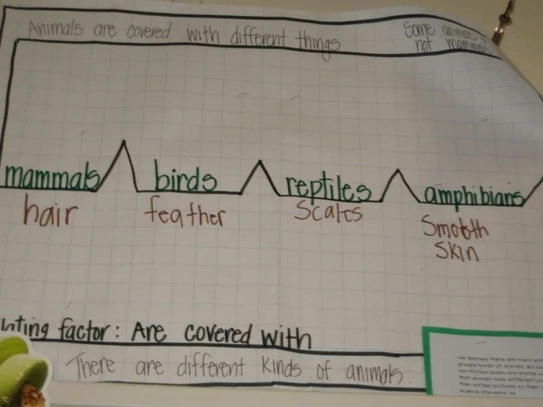 当思维导图遇上绘本精读，这秘密竟让我挖到！