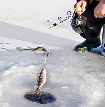 后悔知道得太晚!疫情后花式过冬,多伦多这些好去处不要错过! 后悔知道得太晚!疫情后花式过冬,多伦多这些好去处不要错过!