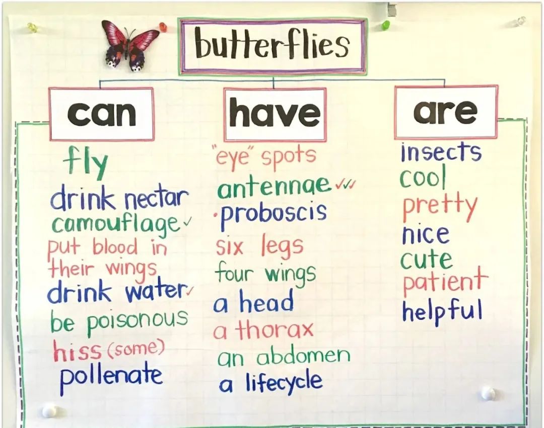当思维导图遇上绘本精读，这秘密竟让我挖到！