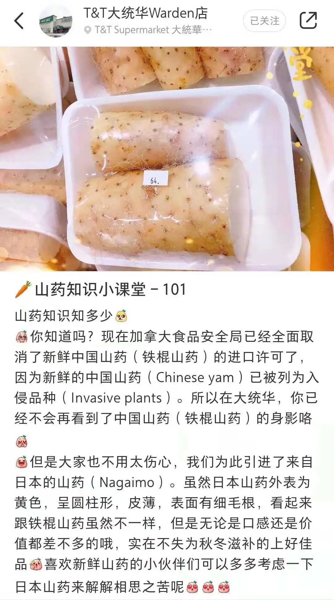 操心你的菜篮子：入侵物种！加拿大再也不能卖新鲜的铁棍山药了！