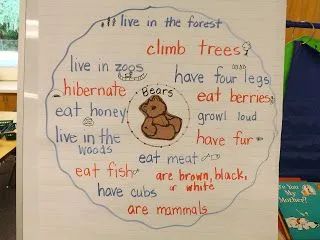 当思维导图遇上绘本精读，这秘密竟让我挖到！