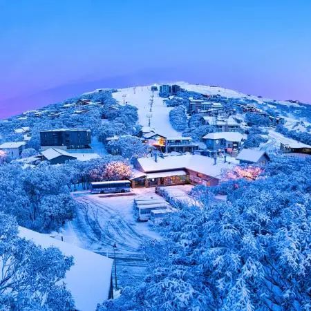 后悔知道得太晚!疫情后花式过冬,多伦多这些好去处不要错过! 后悔知道得太晚!疫情后花式过冬,多伦多这些好去处不要错过!