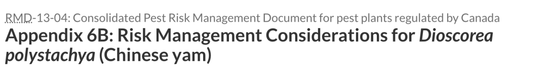 操心你的菜篮子：入侵物种！加拿大再也不能卖新鲜的铁棍山药了！