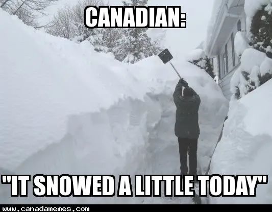 谁说尼亚加拉湖滨小镇是安省最宜居的城市，你过来，我保准不打你