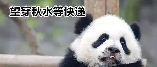 一不小心省了好几百!全城疯抢的Costco牛肉怎么吃? 一不小心省了好几百!全城疯抢的Costco牛肉怎么吃?