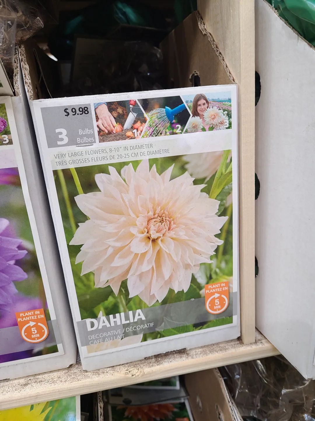 Costco就是凑数的！Home Depot才是养花种菜的白月光