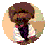 名校都在抢Debate的孩子，到底什么是学术辩论？
