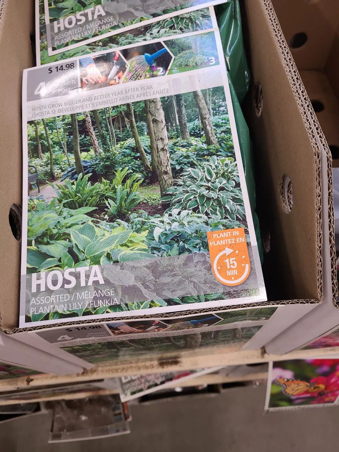 Costco就是凑数的！Home Depot才是养花种菜的白月光