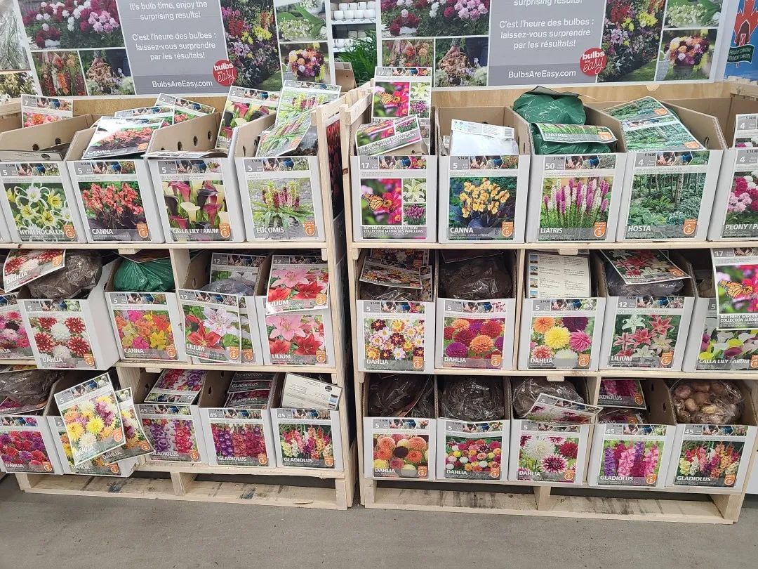 Costco就是凑数的！Home Depot才是养花种菜的白月光