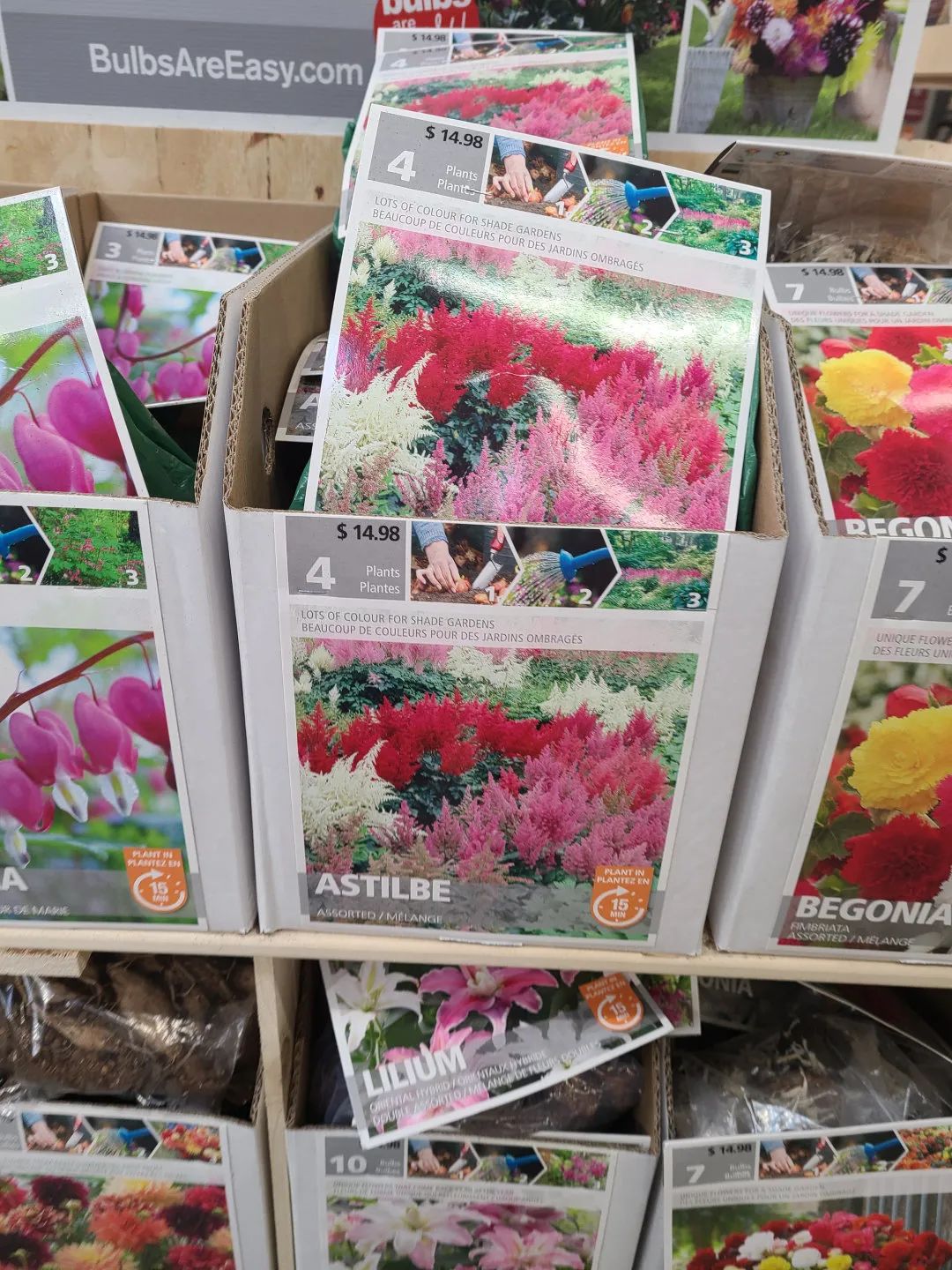 Costco就是凑数的！Home Depot才是养花种菜的白月光