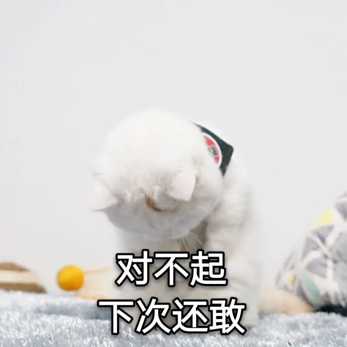 中国VS 加拿大,宋轶被骂到道歉的“好嫁风”是一种怎样的审美? 中国VS 加拿大,宋轶被骂到道歉的“好嫁风”是一种怎样的审美?