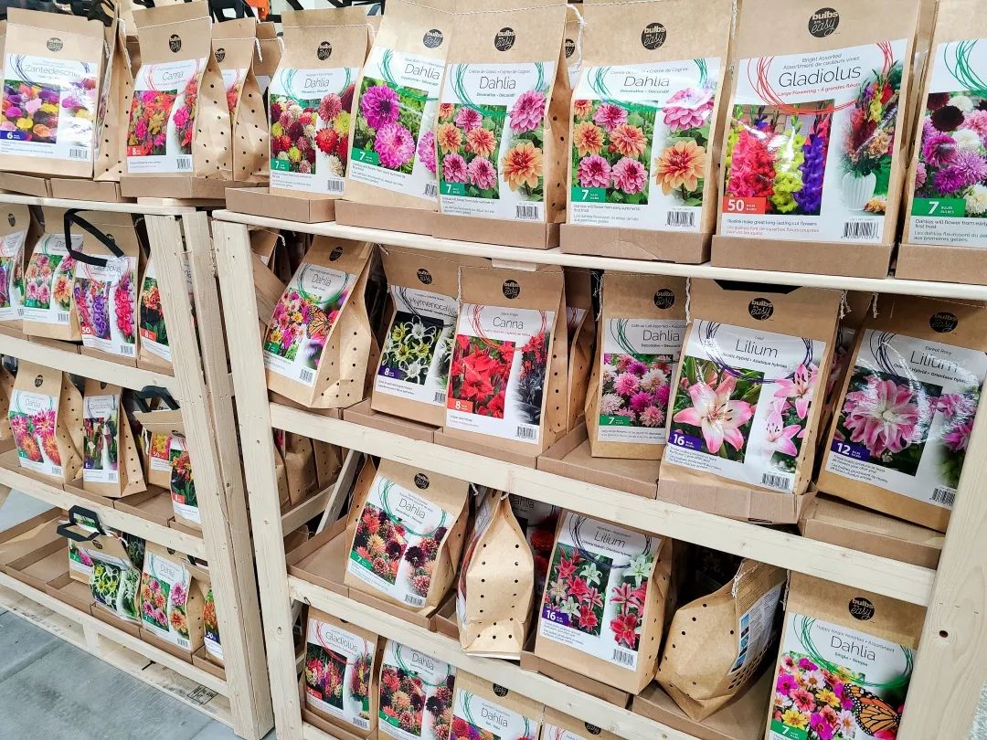 Costco就是凑数的！Home Depot才是养花种菜的白月光