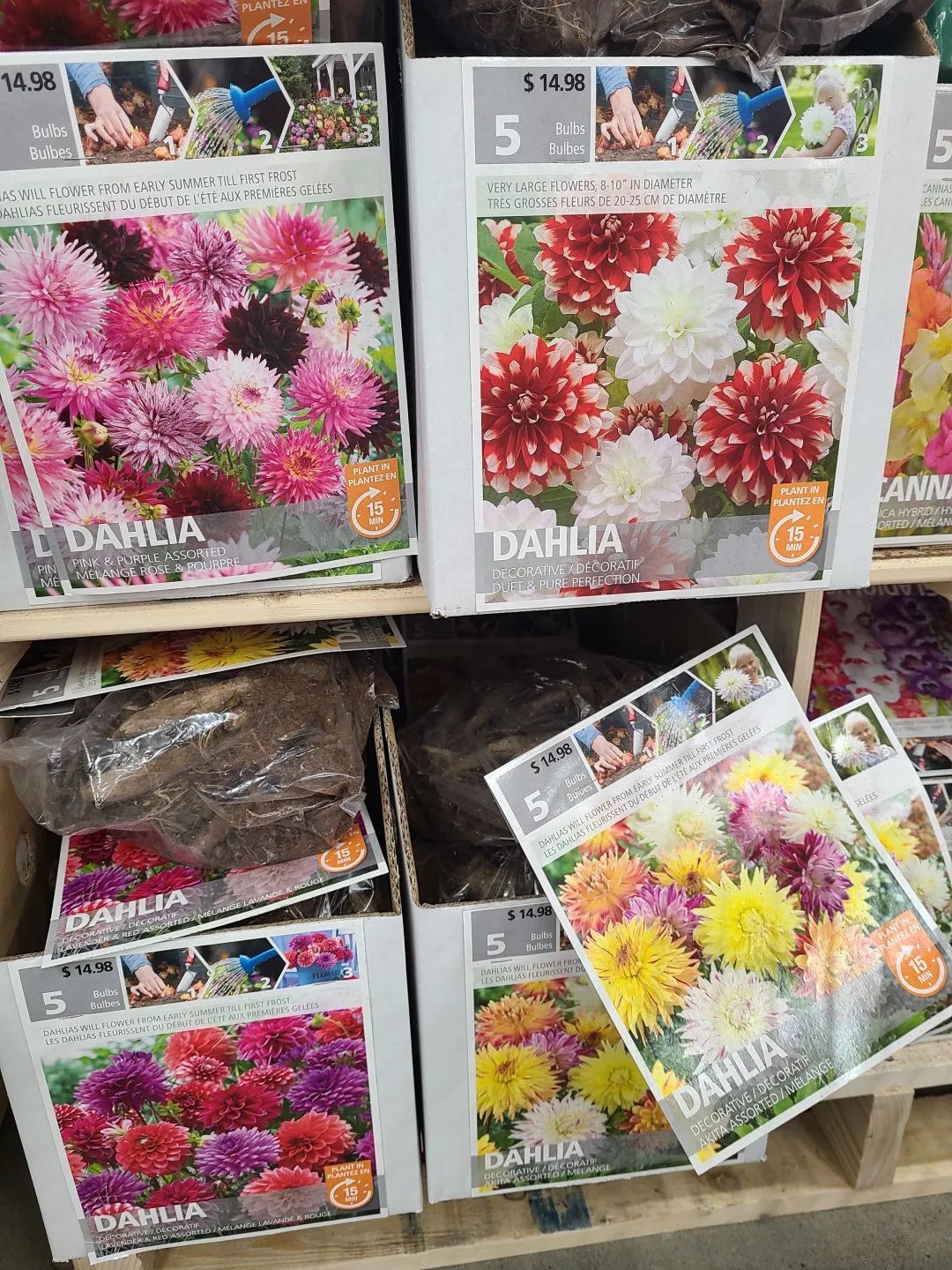 Costco就是凑数的！Home Depot才是养花种菜的白月光