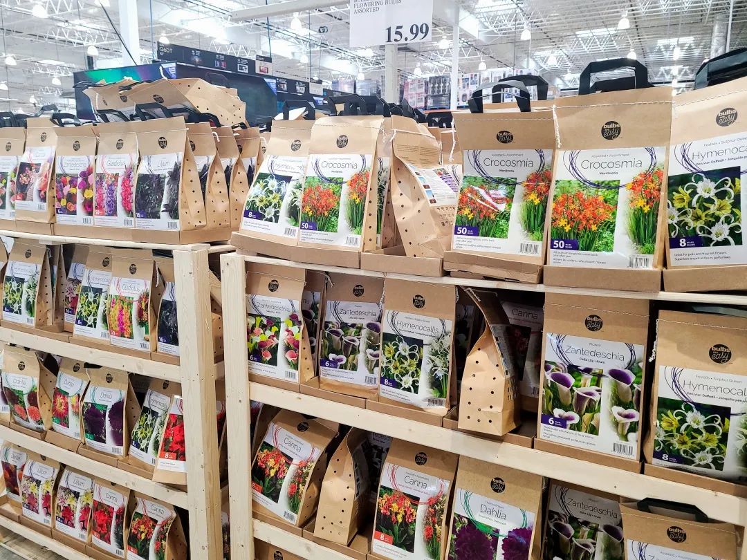 Costco就是凑数的！Home Depot才是养花种菜的白月光