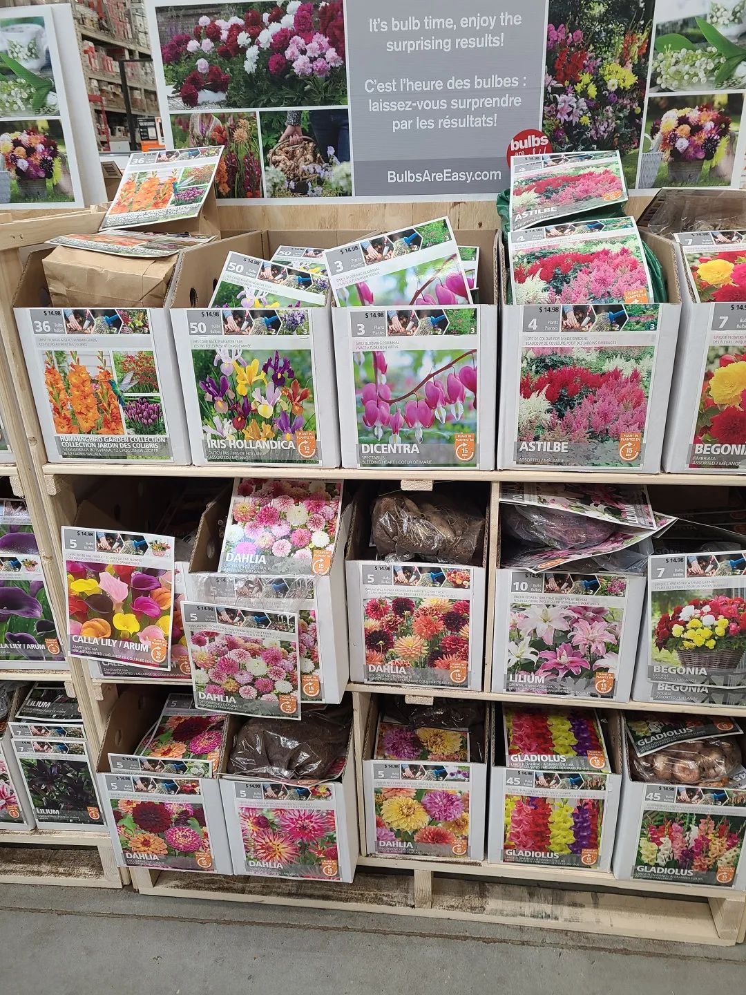 Costco就是凑数的！Home Depot才是养花种菜的白月光