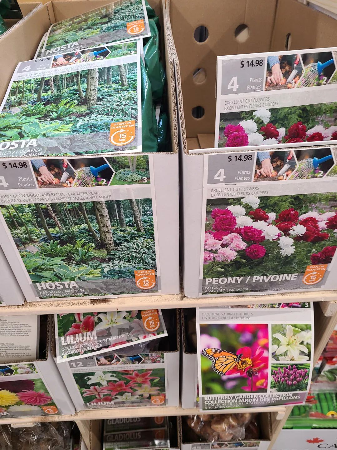 Costco就是凑数的！Home Depot才是养花种菜的白月光