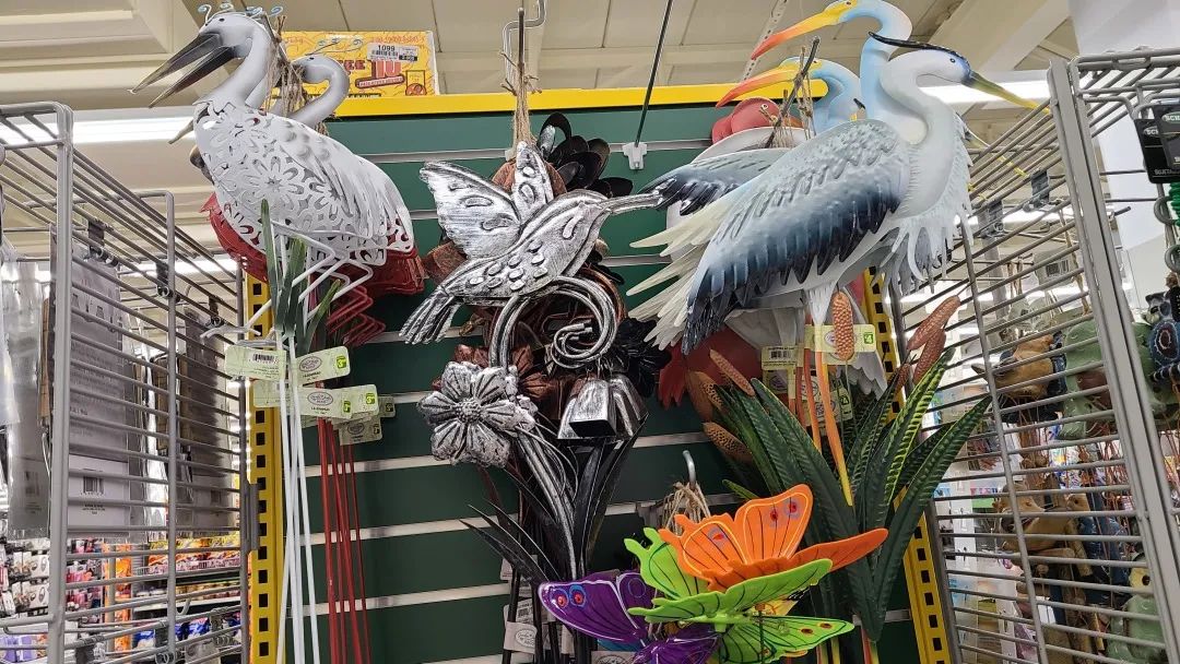 探店Dollarama：“霸道总裁”一枝花逛一元店，反向带货？