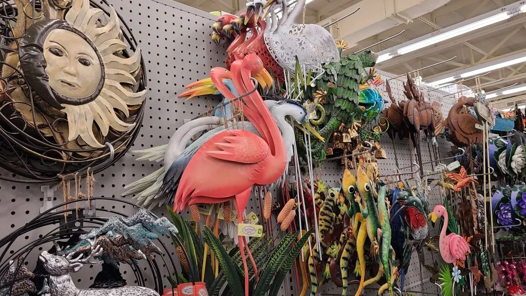 探店Dollarama：“霸道总裁”一枝花逛一元店，反向带货？