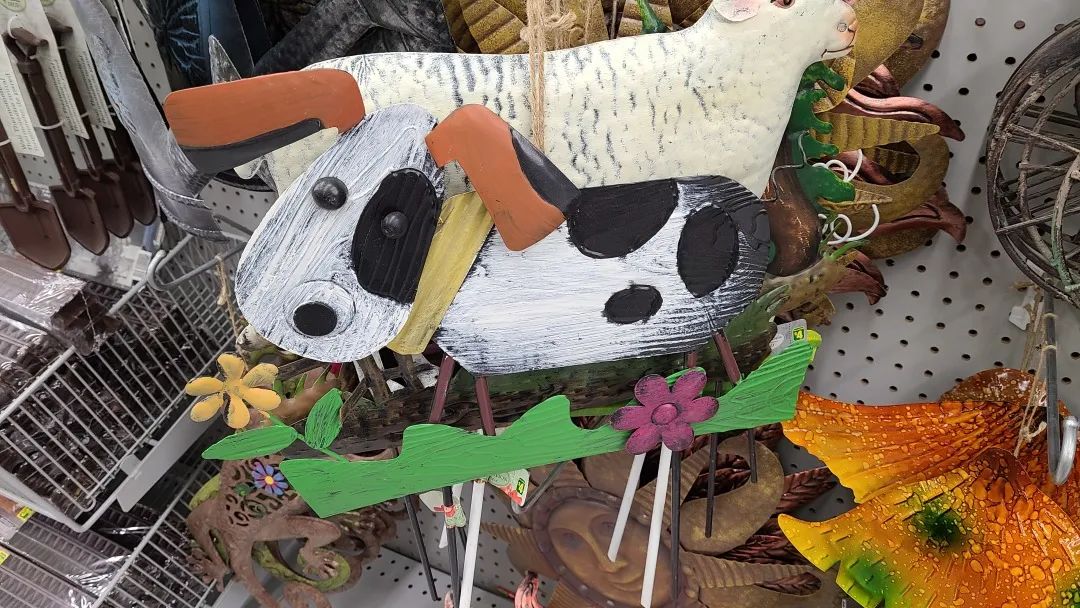 探店Dollarama：“霸道总裁”一枝花逛一元店，反向带货？