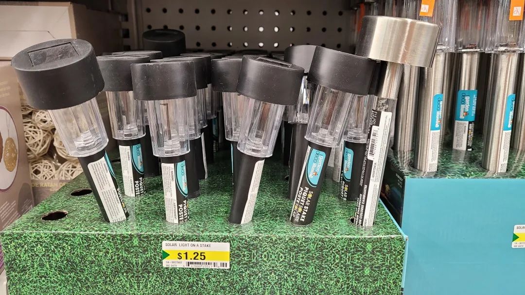 探店Dollarama：“霸道总裁”一枝花逛一元店，反向带货？