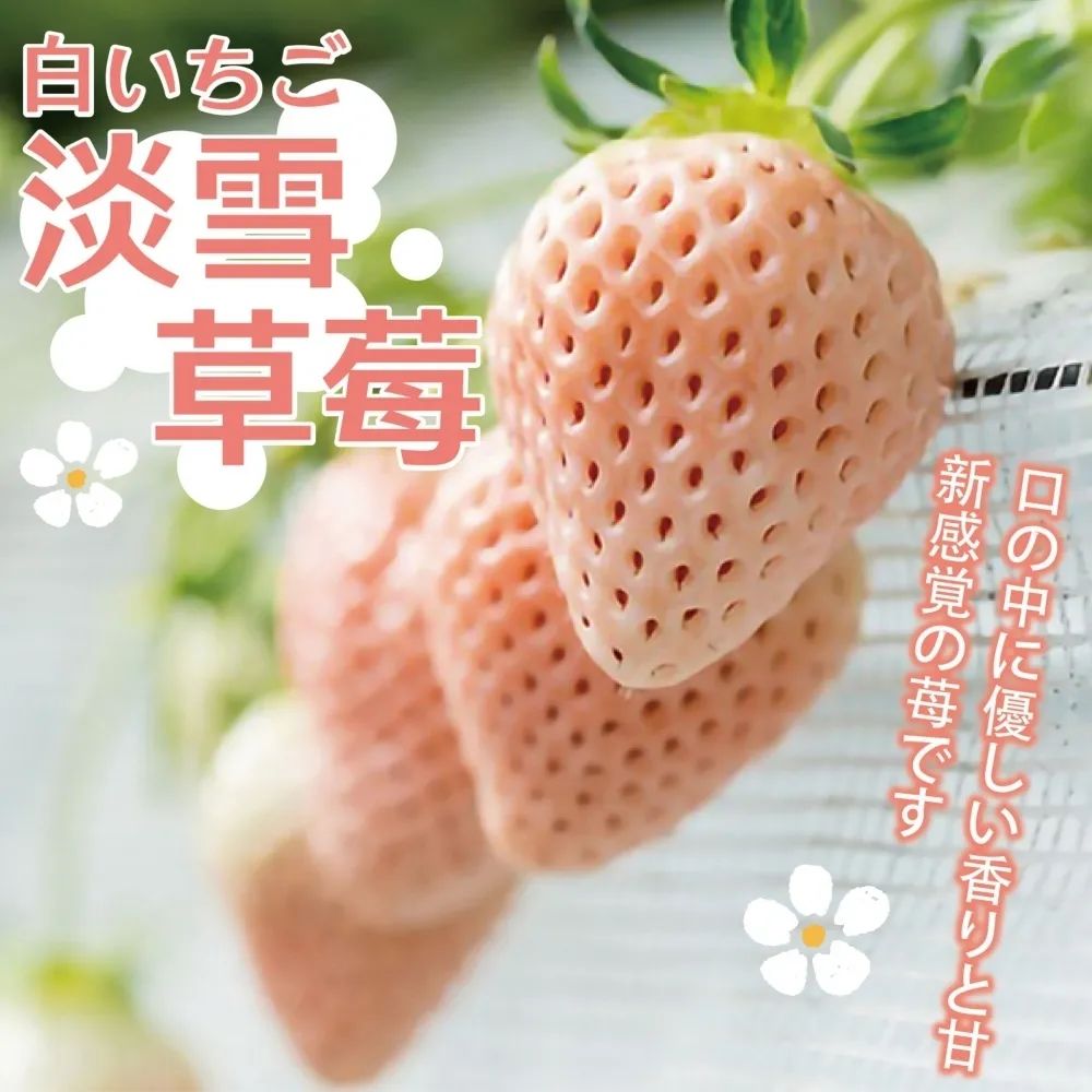 逼格与价格齐飞的网红水果：都是土里长出来的，咋就不一样？