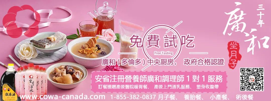 放过发财树和富贵竹，这些撩人的绿植，让你的家INS风满满！