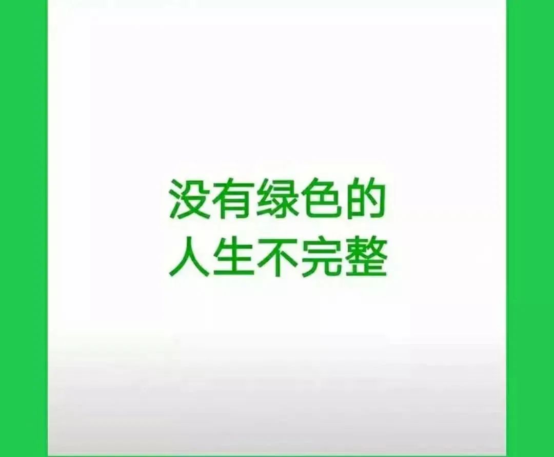 放过发财树和富贵竹，这些撩人的绿植，让你的家INS风满满！