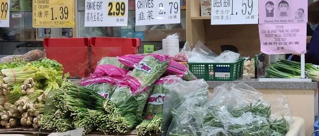 探店：在封城中求生存的苗圃，仍骄傲地营业中！