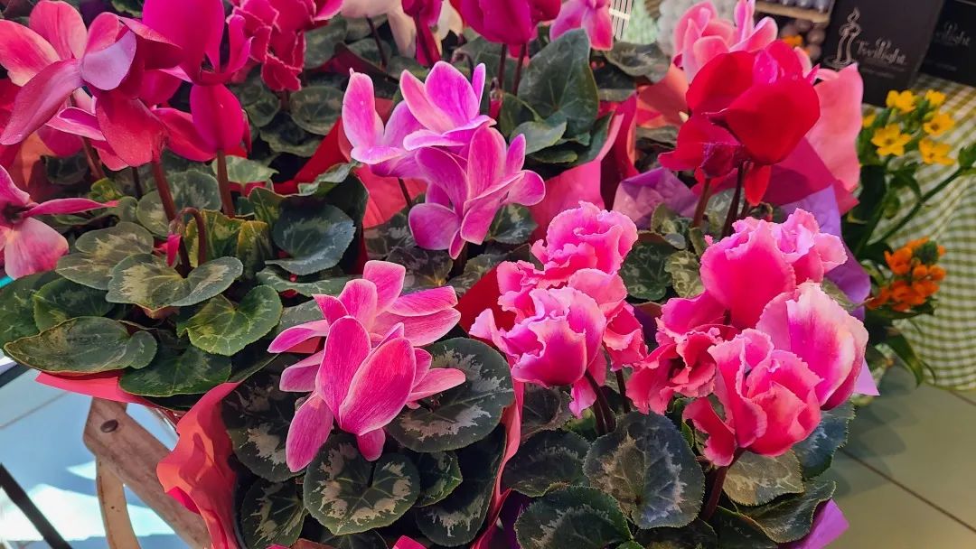 把超市玩成网红打卡地：深度探店高颜值超市Village Grocer