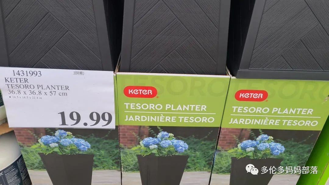 Costco不甘寂寞放大招：户外卖绿植，内附大量细节生图及种植经验分享