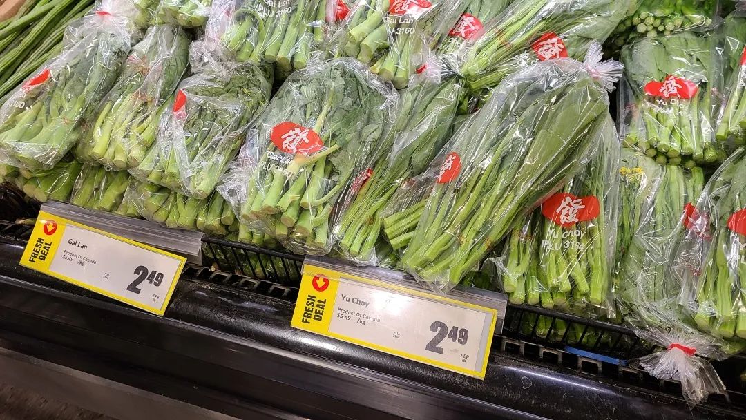 【探店】这家不是华超更似华超的Freshco，连猪大肠都有卖！