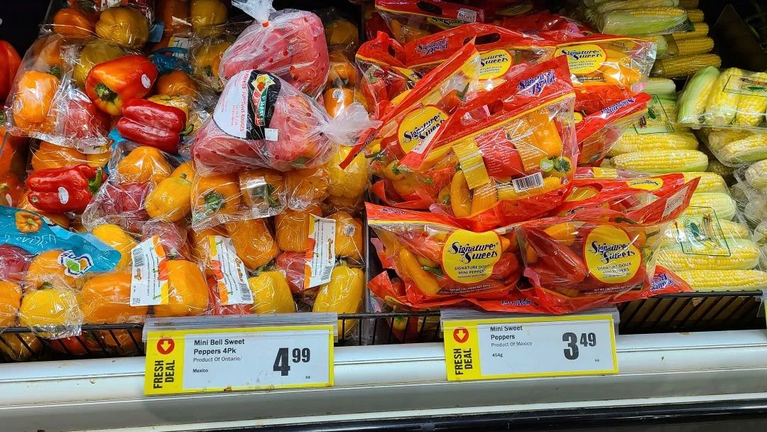 【探店】这家不是华超更似华超的Freshco，连猪大肠都有卖！