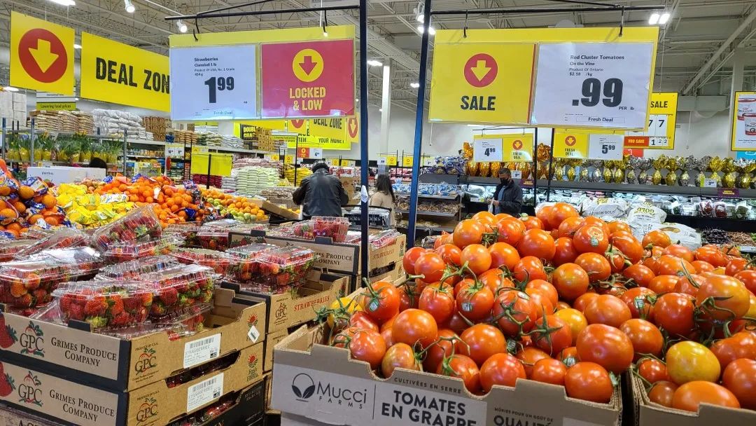 【探店】这家不是华超更似华超的Freshco，连猪大肠都有卖！