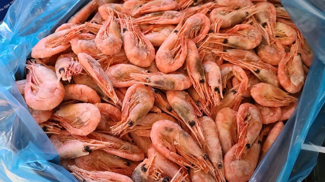 【探店】这家不是华超更似华超的Freshco，连猪大肠都有卖！