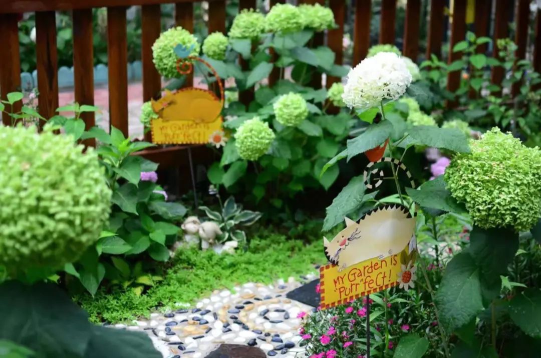 不是什么泥巴都能种花!为了找土,你拼了吗? 不是什么泥巴都能种花!为了找土,你拼了吗?