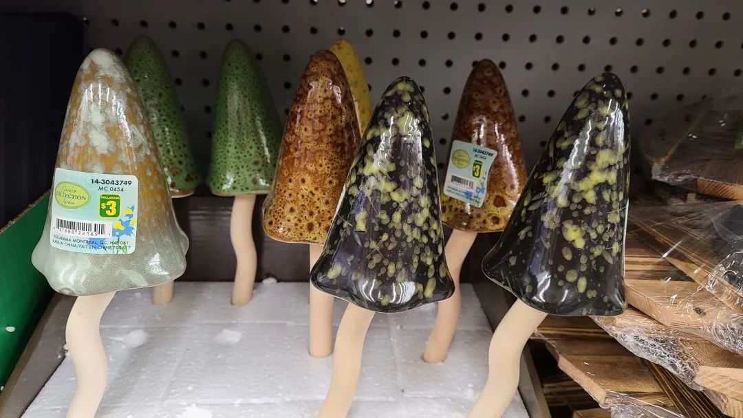 探店Dollarama：“霸道总裁”一枝花逛一元店，反向带货？