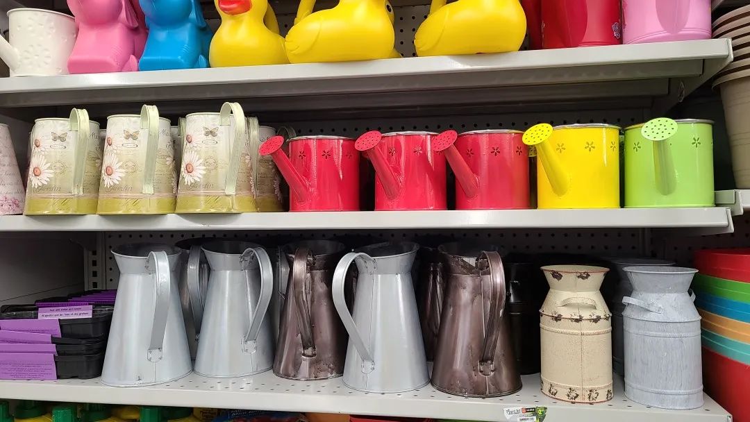 探店Dollarama：“霸道总裁”一枝花逛一元店，反向带货？