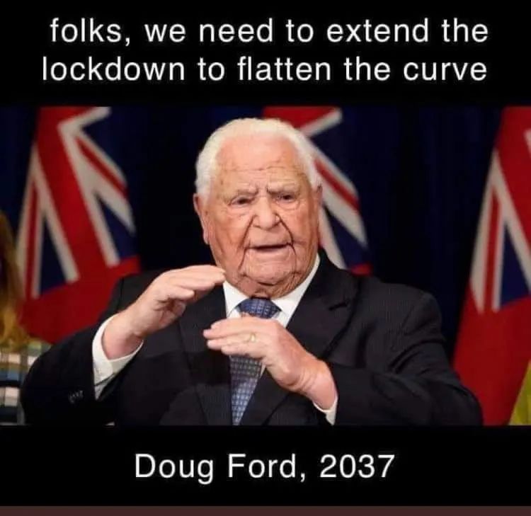 探店：在封城中求生存的苗圃，仍骄傲地营业中！