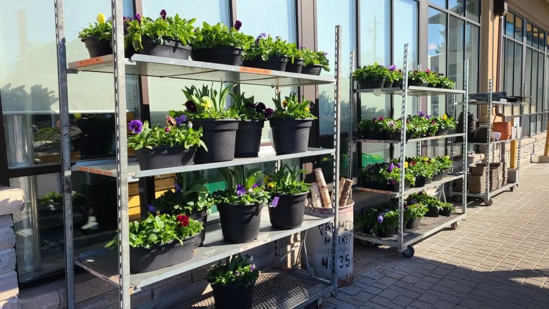 把超市玩成网红打卡地：深度探店高颜值超市Village Grocer