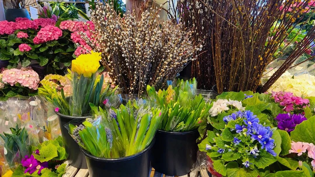 把超市玩成网红打卡地：深度探店高颜值超市Village Grocer