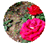 万万没想到，Forever21又杀回加拿大了！说好的破产呢？