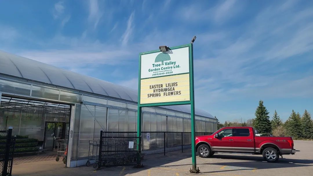 又大又香的Tree Valley苗圃探店：绣球品类就超过16种！