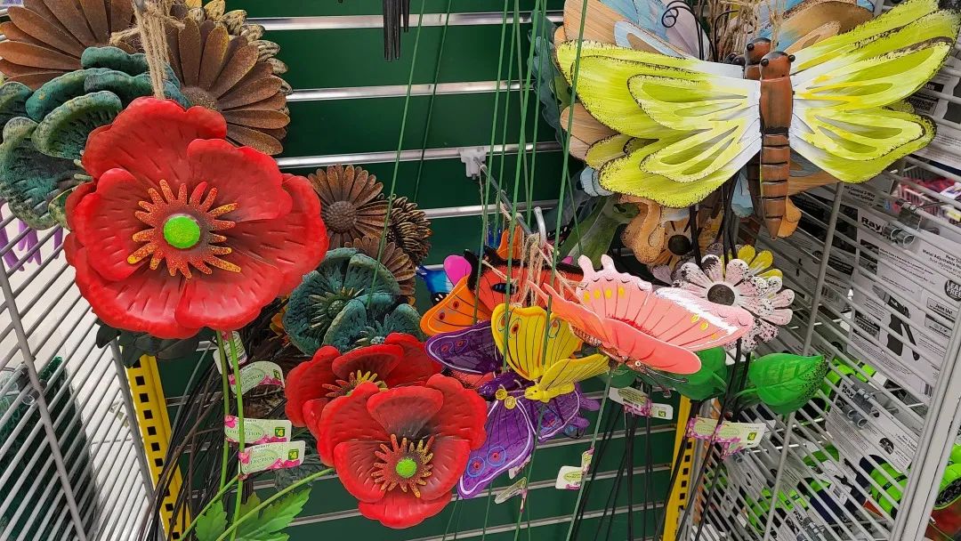 探店Dollarama：“霸道总裁”一枝花逛一元店，反向带货？