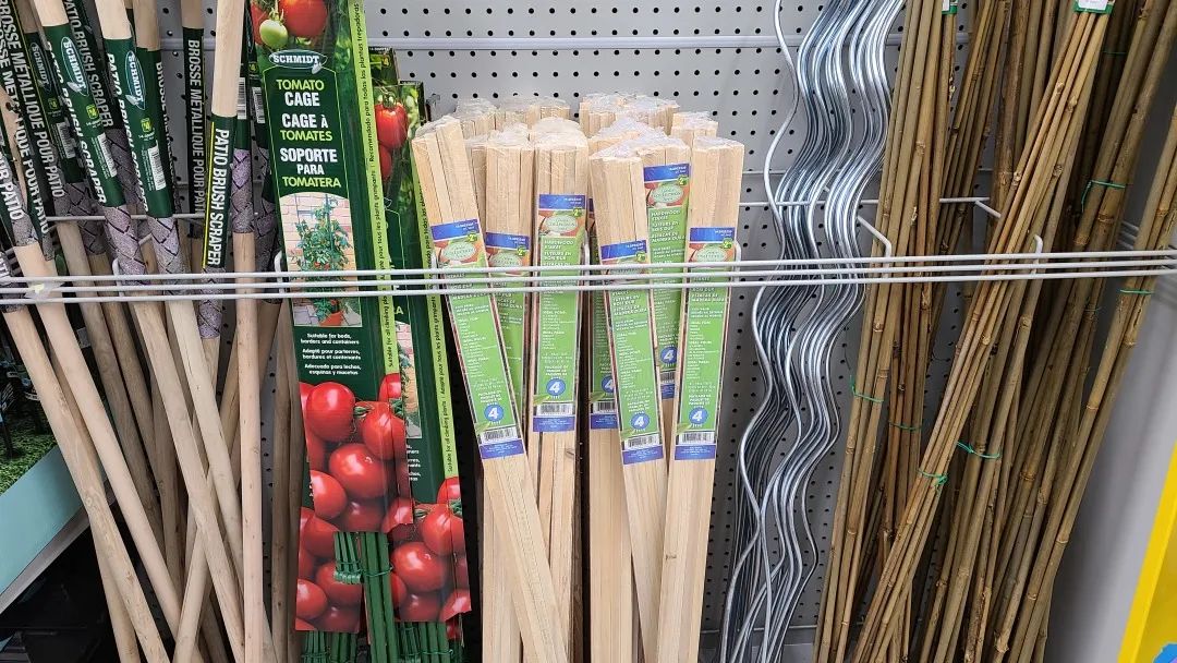 探店Dollarama：“霸道总裁”一枝花逛一元店，反向带货？