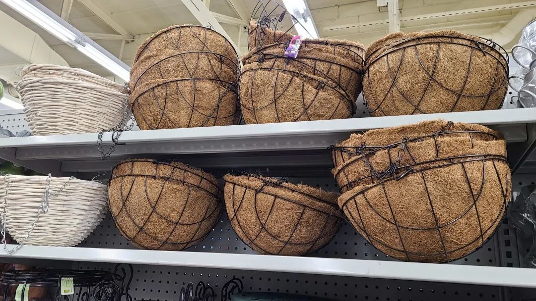 探店Dollarama：“霸道总裁”一枝花逛一元店，反向带货？